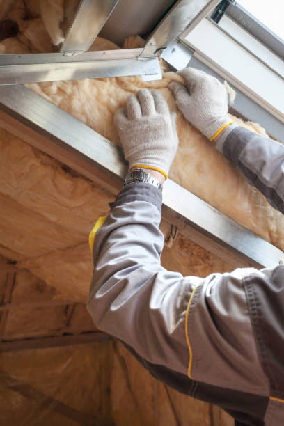 Best Insulation Replacement Services  in South Blooming Grove, NY